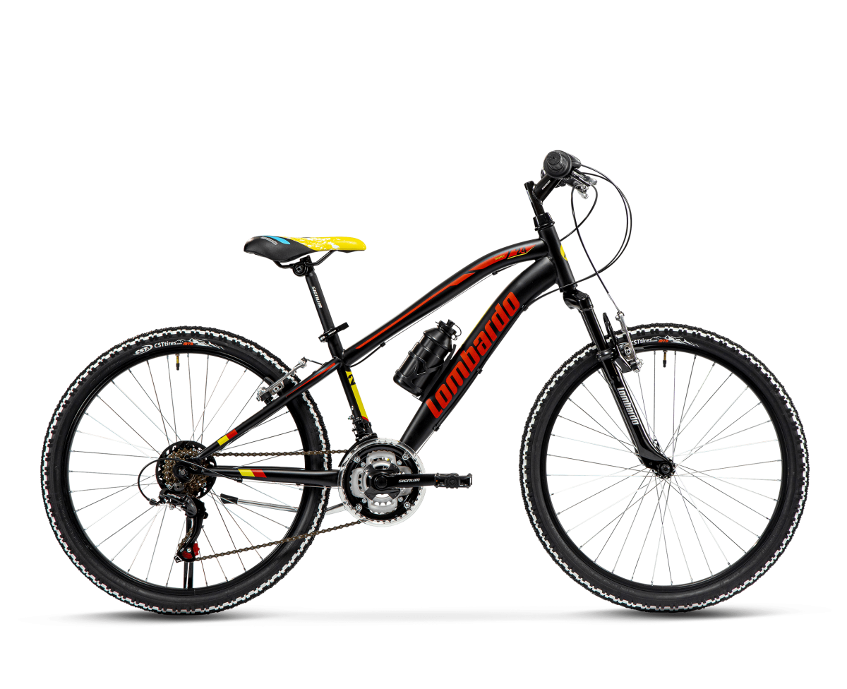bicicletta Lombardo